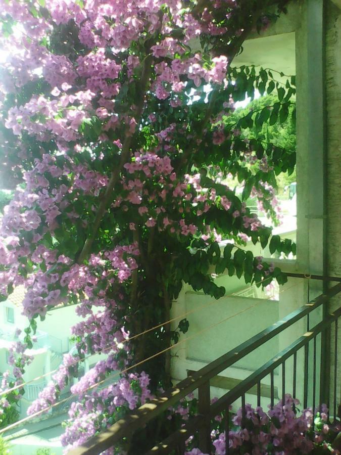 Apartmani Ivona Podgora Exteriör bild